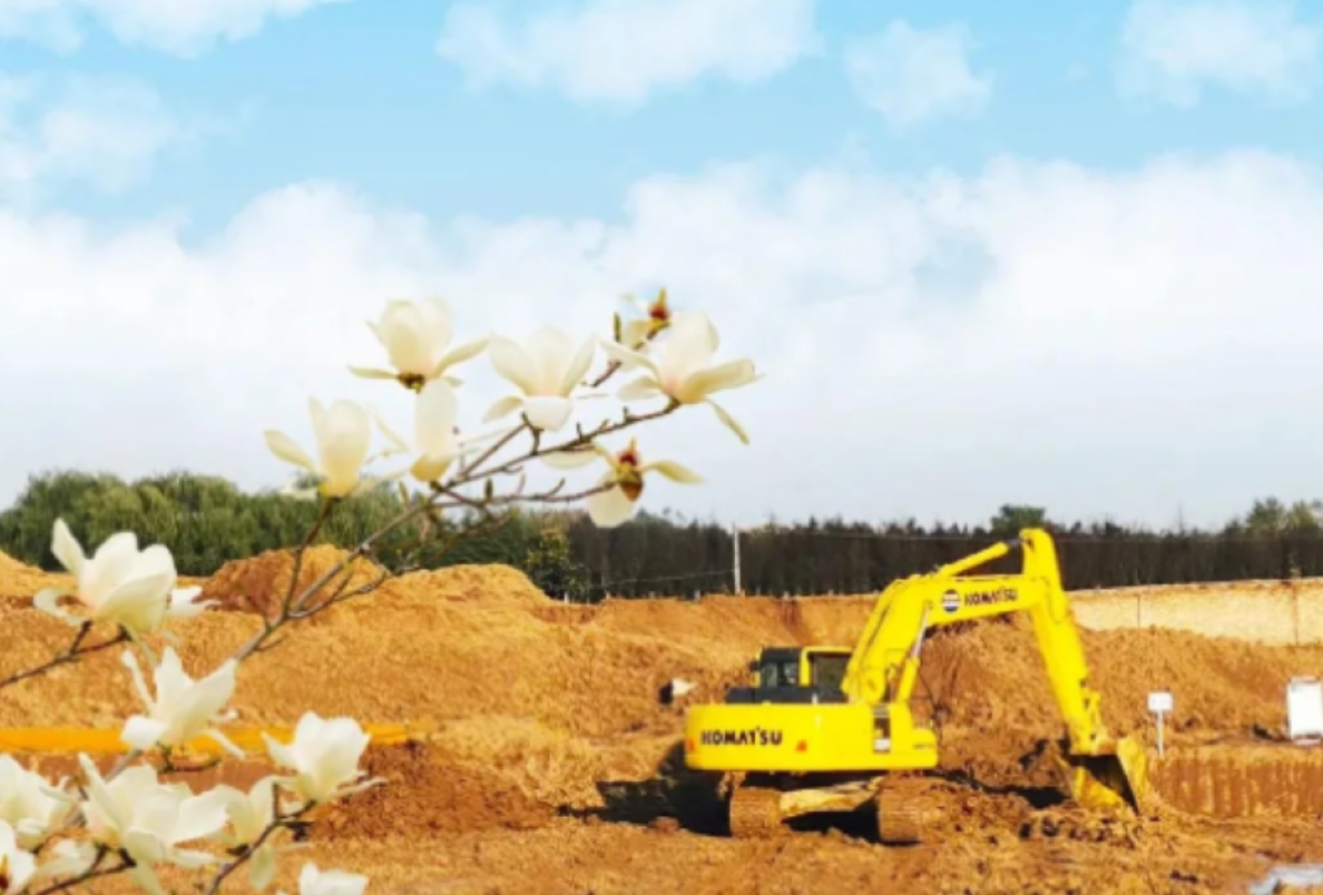 How Excavator Drivers Avoid Some Common Hazards